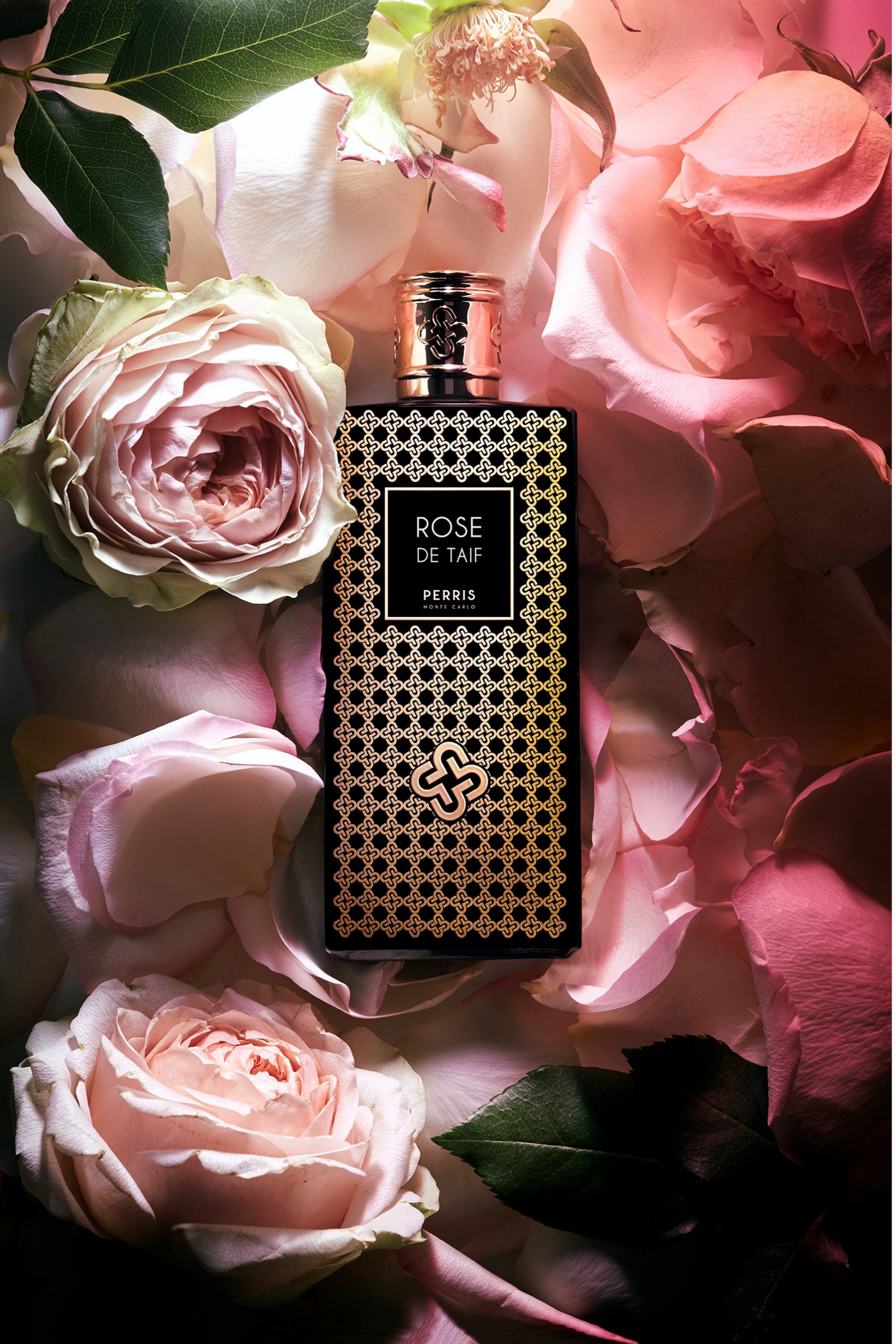 Rose de Taif – Perris Monte Carlo