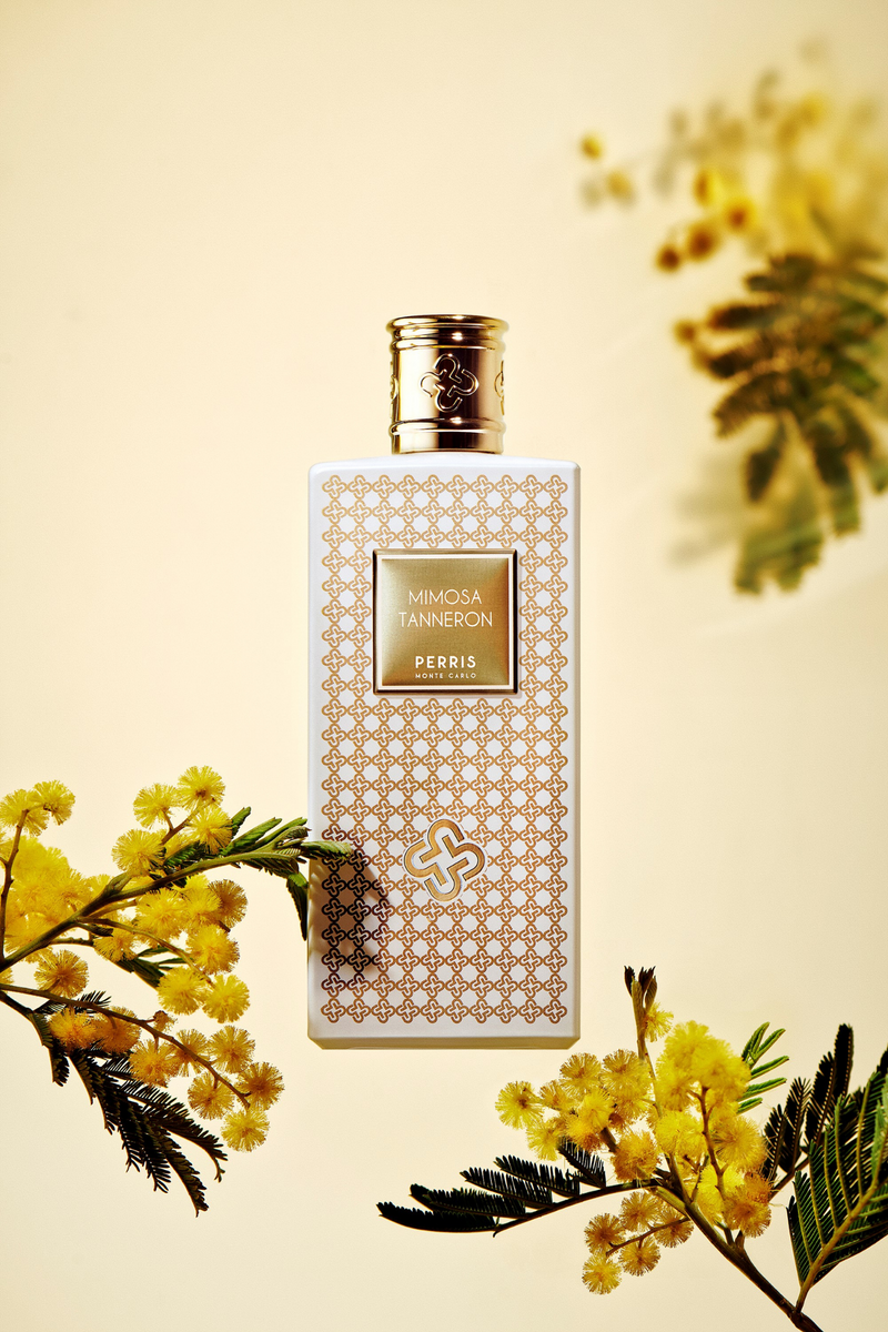 Mimosa Tanneron – Perris Monte Carlo Mimosa Tanneron – Perris Monte Carlo