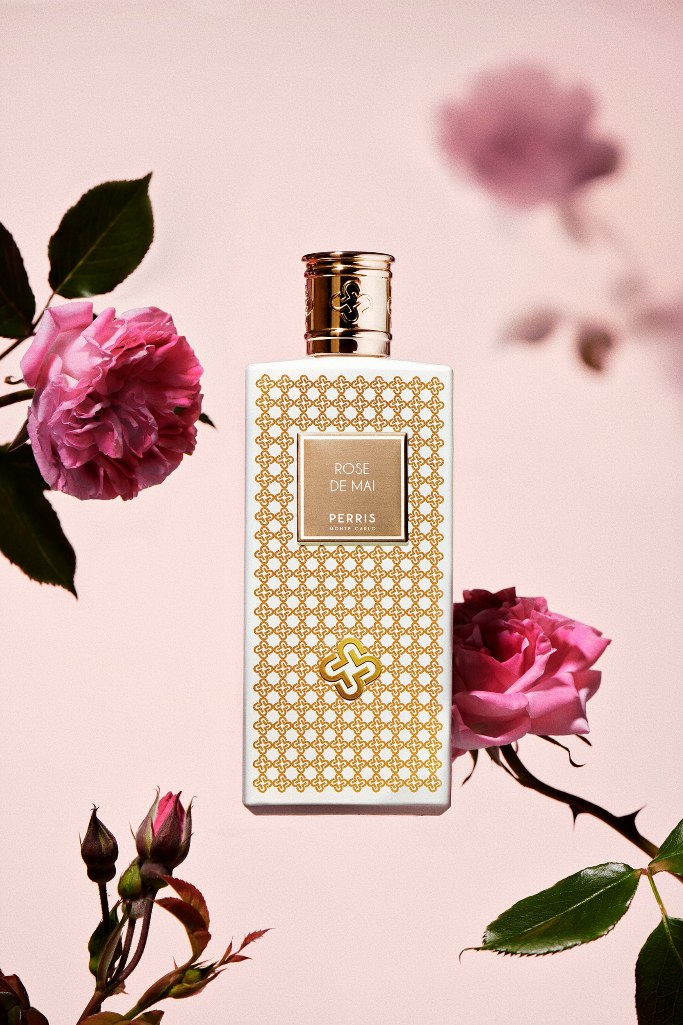 Rose de Mai – Perris Monte Carlo Rose de Mai – Perris Monte Carlo