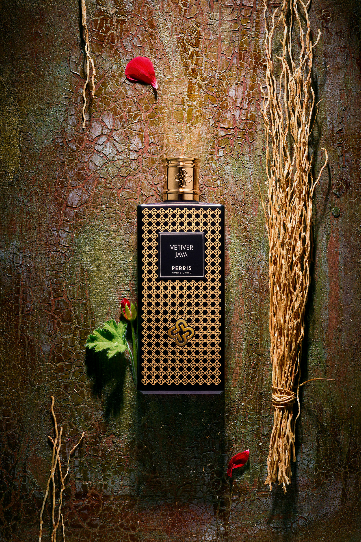 Vetiver Java – Perris Monte Carlo